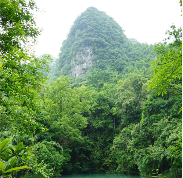 賞華夏大地，游多彩貴州-－2021年廣東博皓快樂行-2