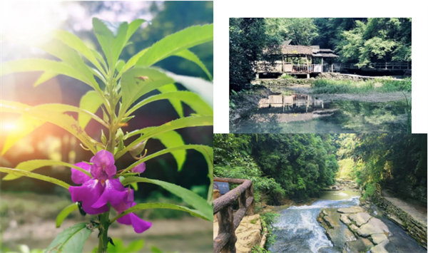 “湘”約鳳凰，相守未來(lái)——2022博皓快樂(lè)湖南行    -34